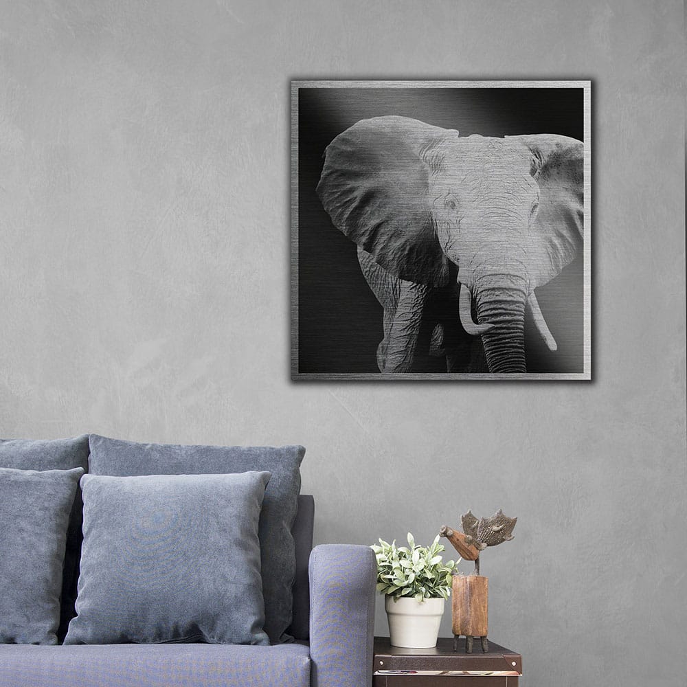 Elephant πίνακας από βουρτσισμένο αλουμίνιο S