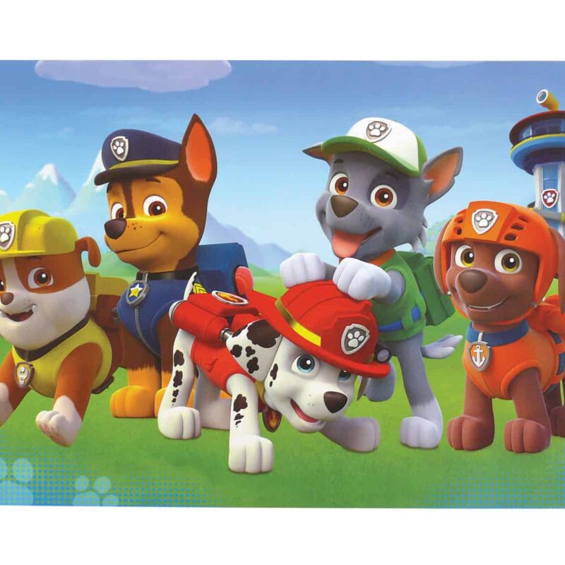Paw Patrol σουπλά
