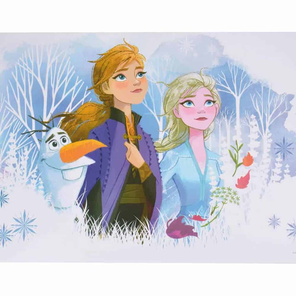 Frozen Disney σουπλά από την ango