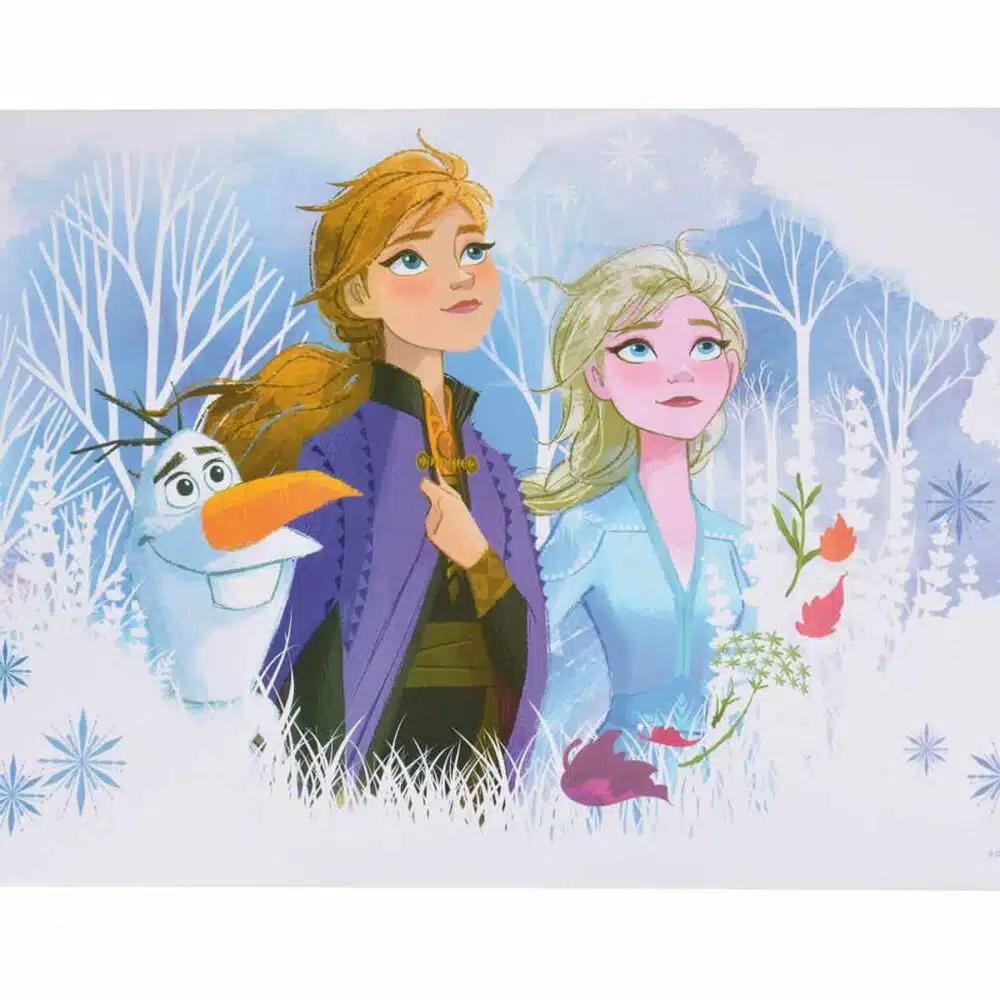 Frozen Disney σουπλά από την ango