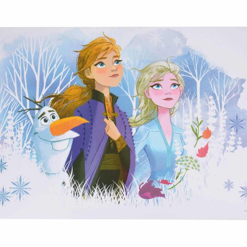 Frozen Disney σουπλά από την ango