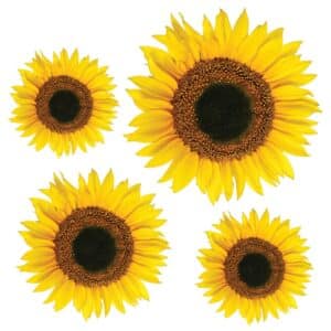 Sunflower αυτοκόλλητα τοίχου βινυλίου (54106)