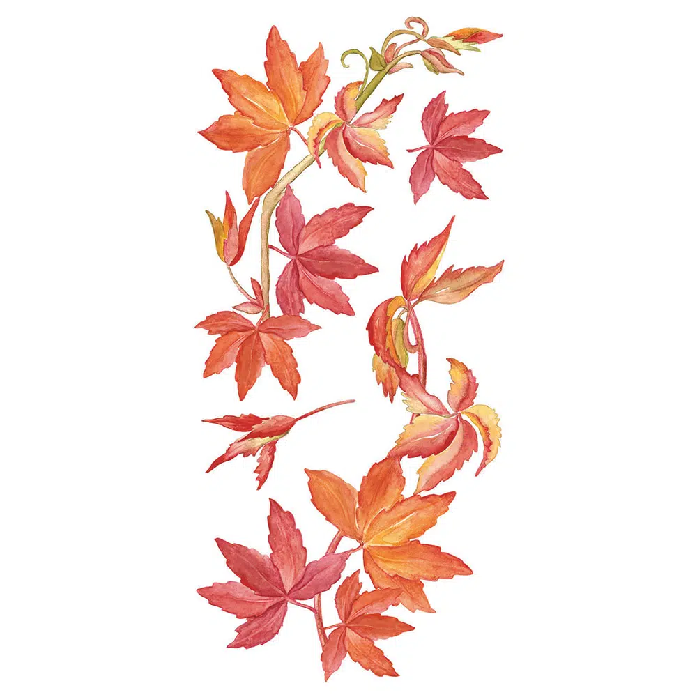 αυτοκόλλητα διακόσμησης βινυλίου