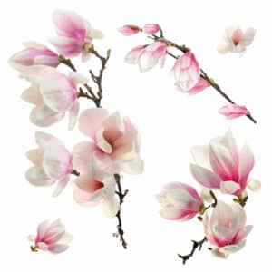 Magnolia αυτοκόλλητα βινυλίου για τζάμι (64006)