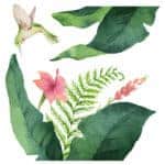 Tropical Flowers αυτοκόλλητα βινυλίου για τζάμι