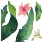 Tropical Flowers αυτοκόλλητα βινυλίου για τζάμι (64017)
