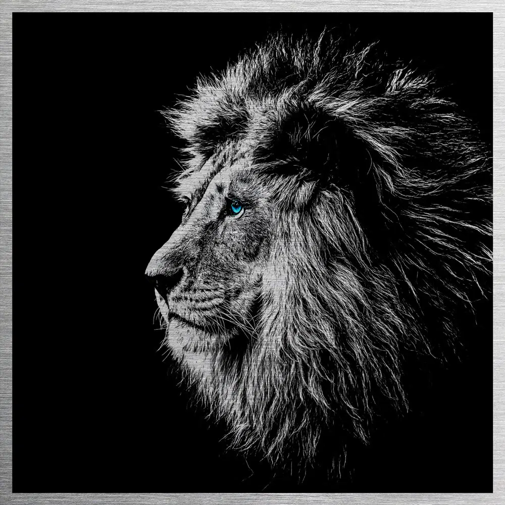 Πίνακας από βουρτσισμένο αλουμίνιο με εκτύπωση