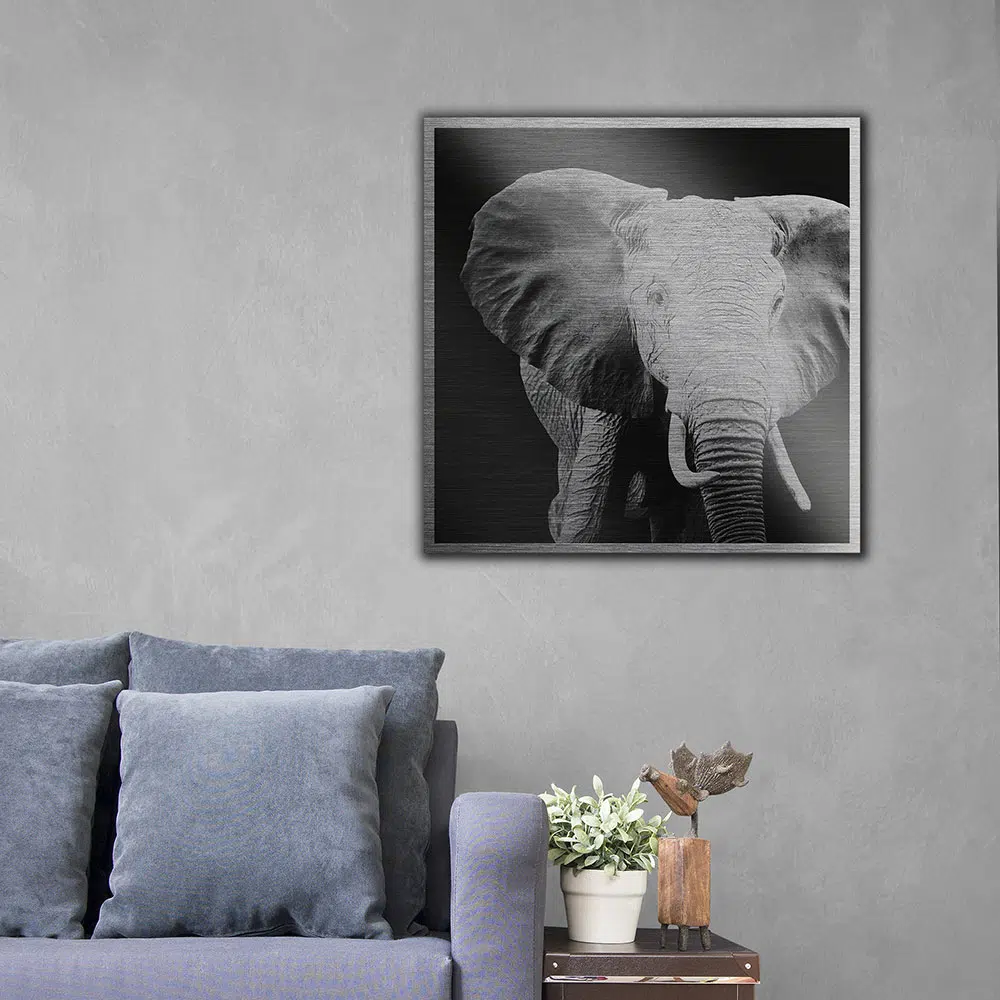 Ελέφαντας πίνακας σε βουρτσισμένο αλουμίνιο