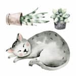 Watercolour Cats αυτοκόλλητα τοίχου βινυλίου M