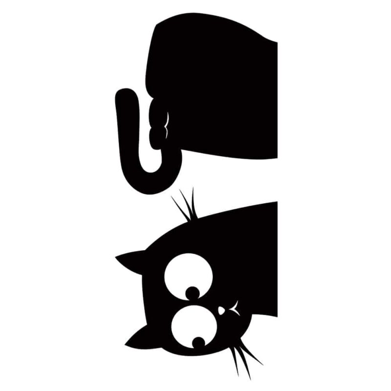 Cat and Fish διακοσμητικά αυτοκόλλητα τοίχου