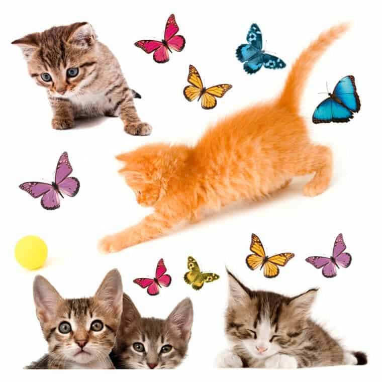 Cats διακοσμητικά αυτοκόλλητα για τζάμι ή τοίχο