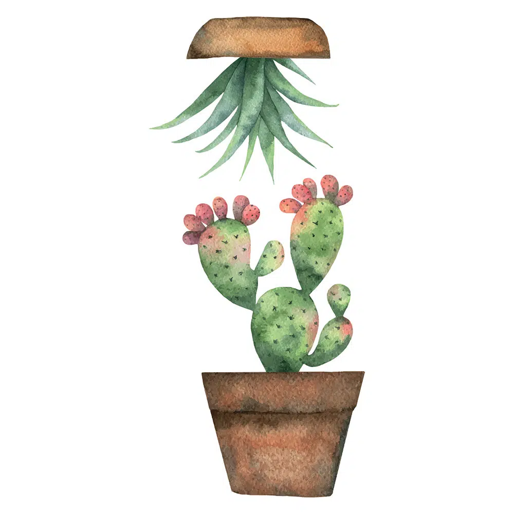 Cactus διακοσμητικά αυτοκόλλητα για τζάμι ή τοίχο