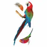 Parrots αυτοκόλλητα βινυλίου για τζάμι S