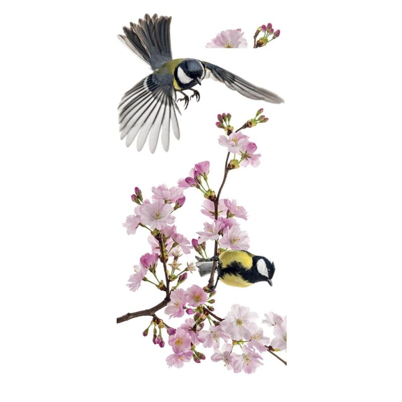 Bird on the Tree διακοσμητικά αυτοκόλλητα για τζάμι ή τοίχο