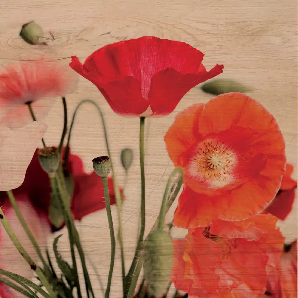 RED FLOWERS - Πίνακας διακόσμησης από ξύλο