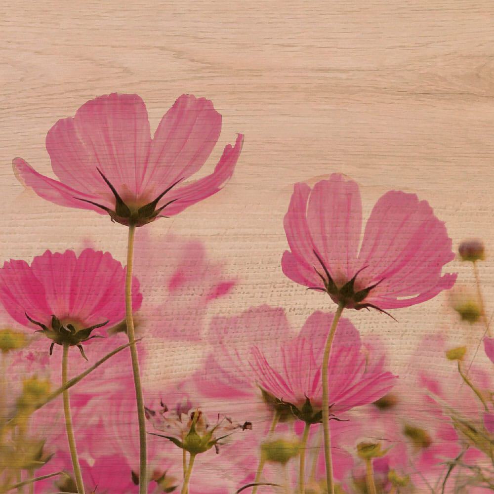PINK FLOWERS - Πίνακας διακόσμησης από ξύλο