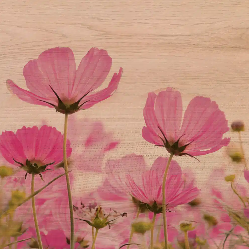 PINK FLOWERS - Πίνακας διακόσμησης από ξύλο
