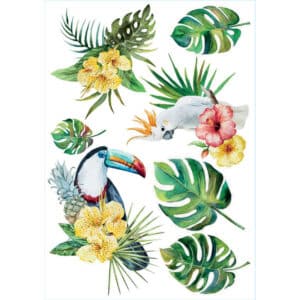 Tropical Birds αυτοκόλλητα τοίχου βινυλίου L (44208)