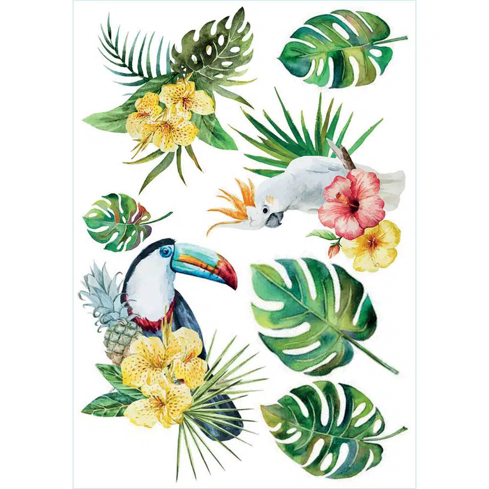 TROPICAL BIRDS βινυλίου αυτοκόλλητα τοίχου