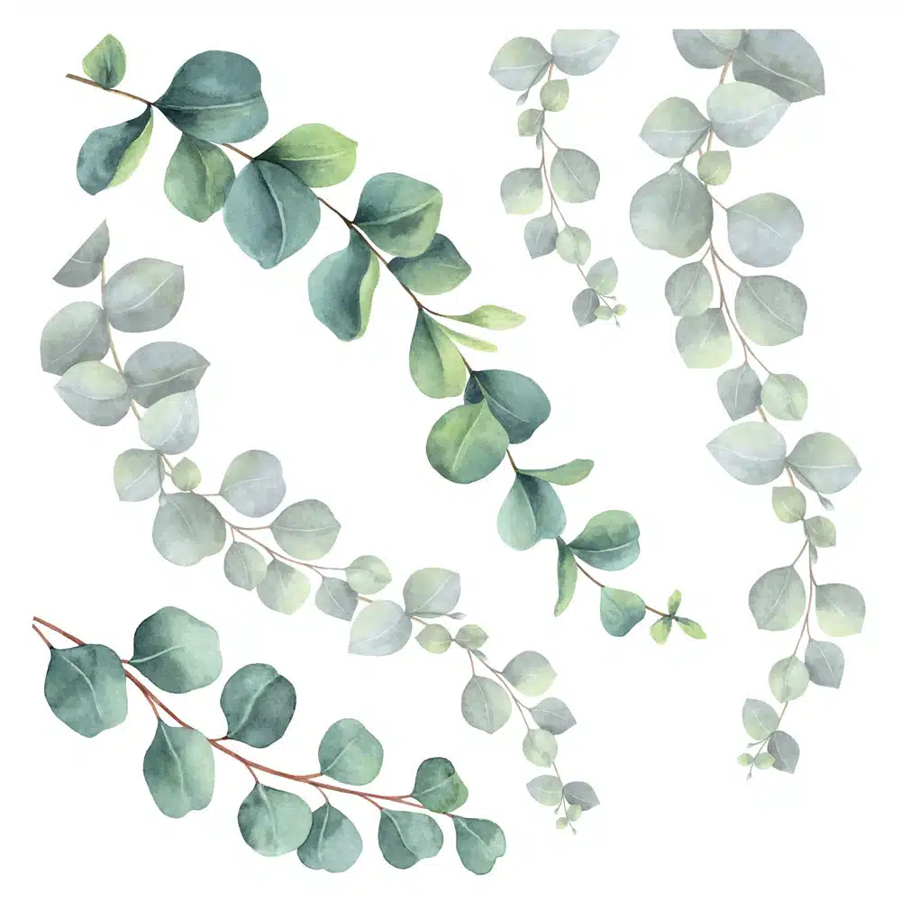 EUCALYPTUS βινυλίου αυτοκόλλητα τοίχου