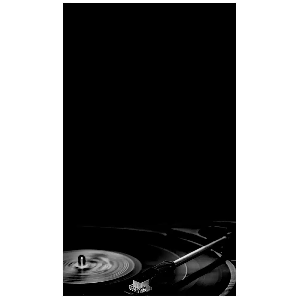 VINYL RECORD - Μαυροπίνακας Plexi Fun