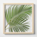 PALM LEAVES - Art Plexi πίνακας