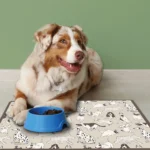 Grey Dogs πατάκι απορρόφησης υγρών