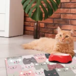 Funny Cats πατάκι απορρόφησης υγρών